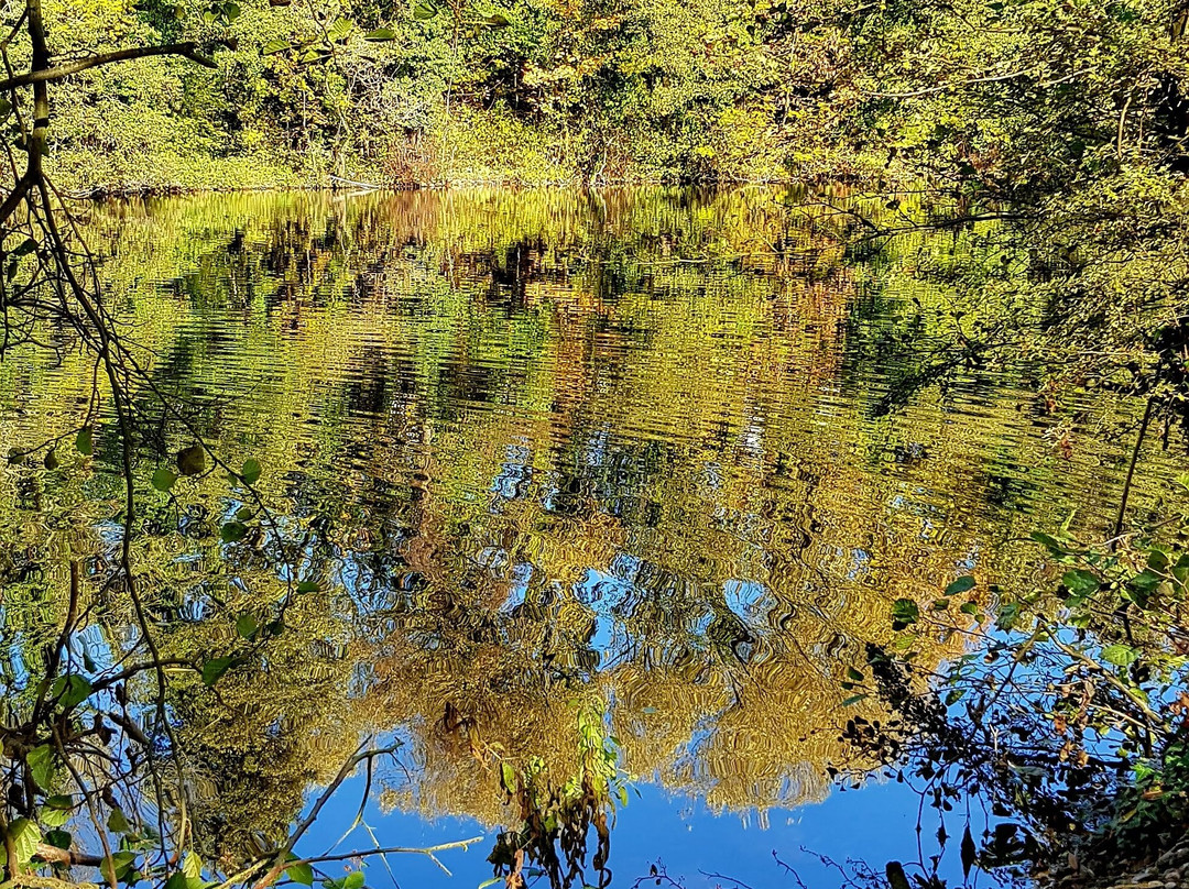Plantsbrook Community Nature Park-伯明翰必去景点