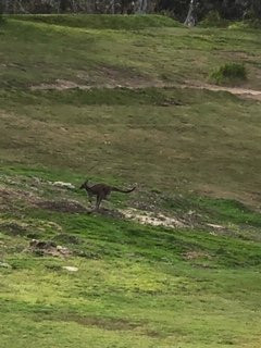 Mount Lofty Golf Club-Stirling必去景点