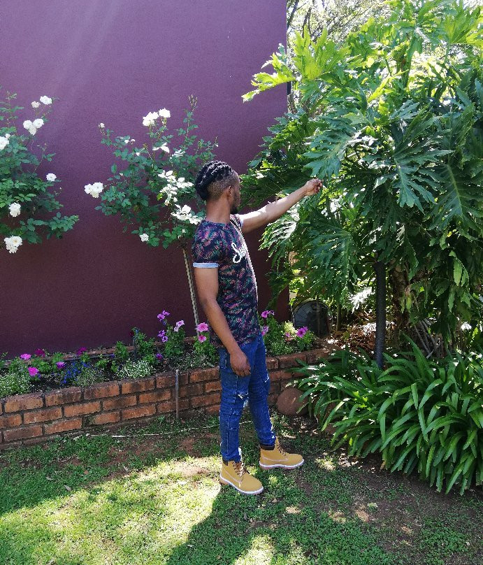 Adem Gasteplaas主图