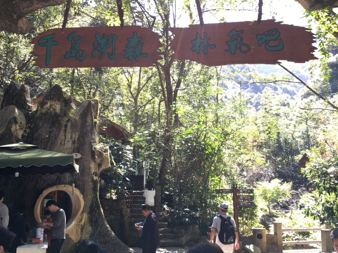 千岛湖森林氧吧-淳安县必去景点