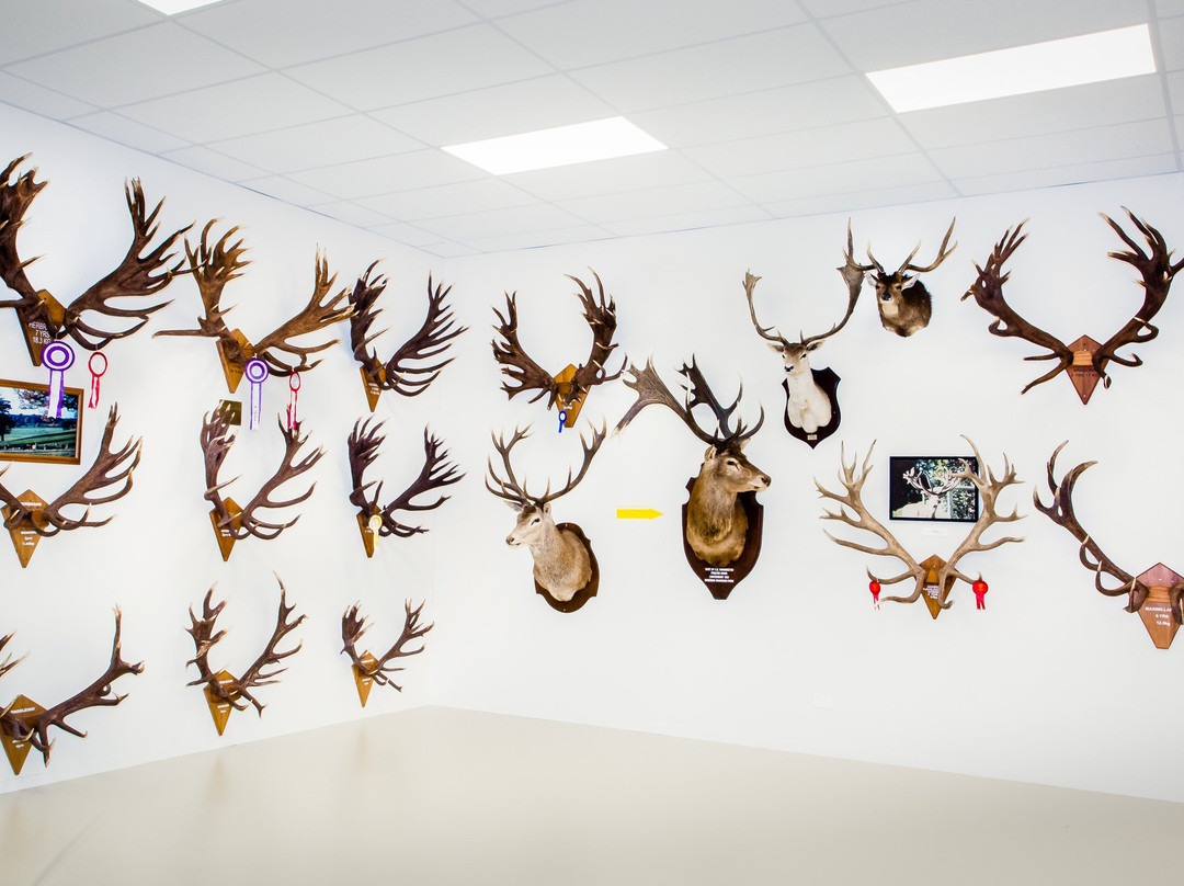 The World of Deer Museum & Speciality Shop景点图片
