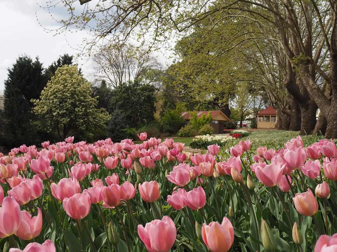 Leighton Gardens-Moss Vale必去景点