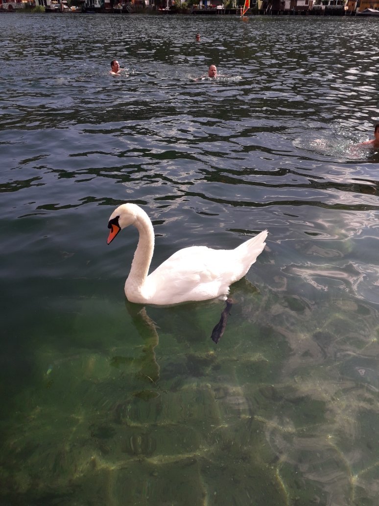 莫特巴尔霍夫旅馆-官方