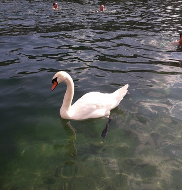 Lieserhofen酒店住宿-Mortbauerhof & Haus Fruhauf