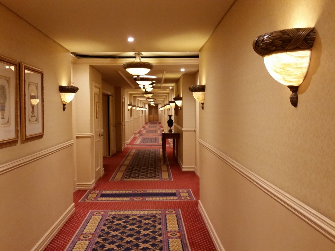 Peermont Mondior at Emperors Palace主图