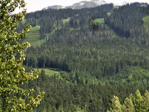 Tantalus Provincial Park-Wynndel必去景点