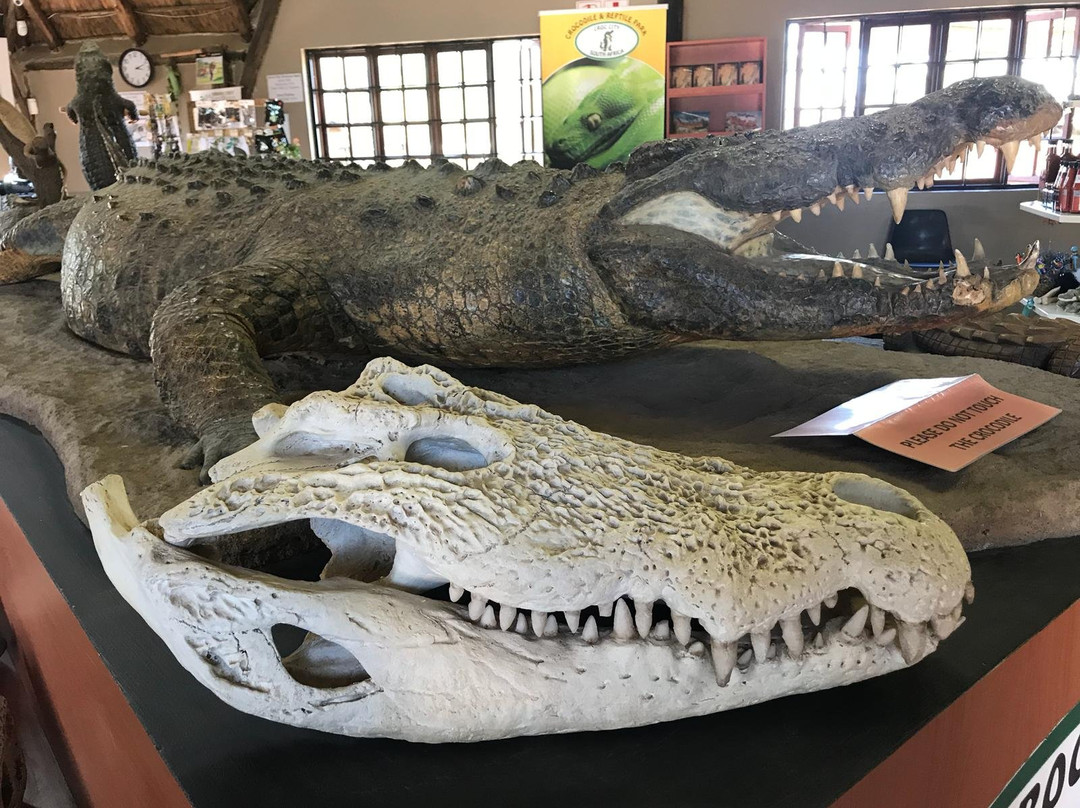 Croc City Crocodile and Reptile Park景点图片