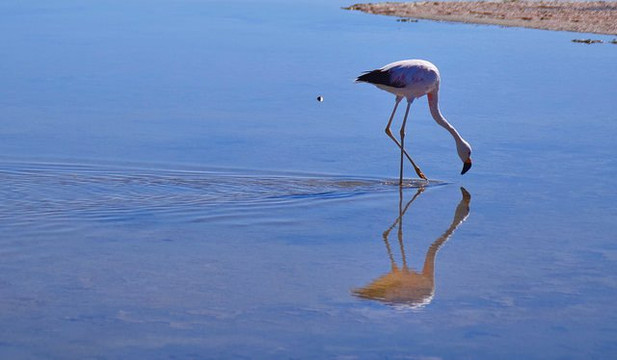 Chile Guru-圣地亚哥必去景点