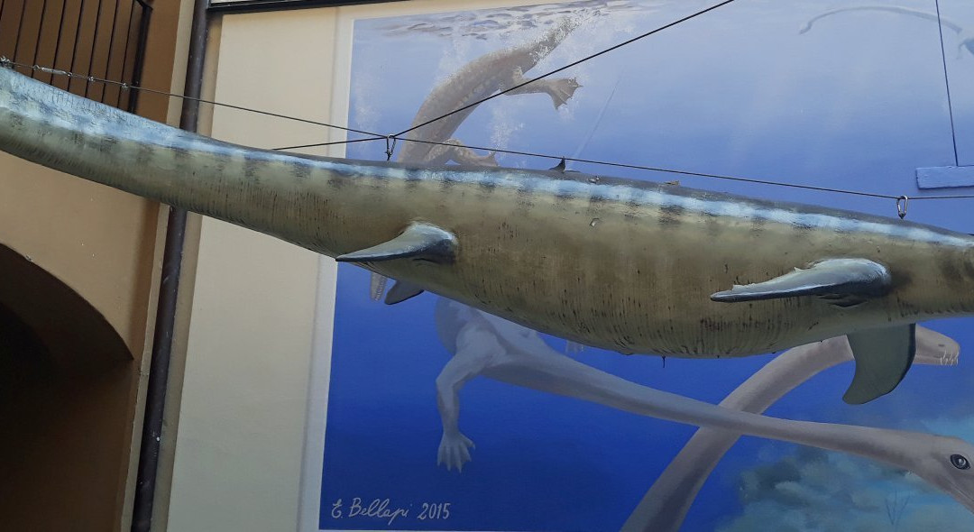 Museo Civico dei Fossili di Besano景点图片