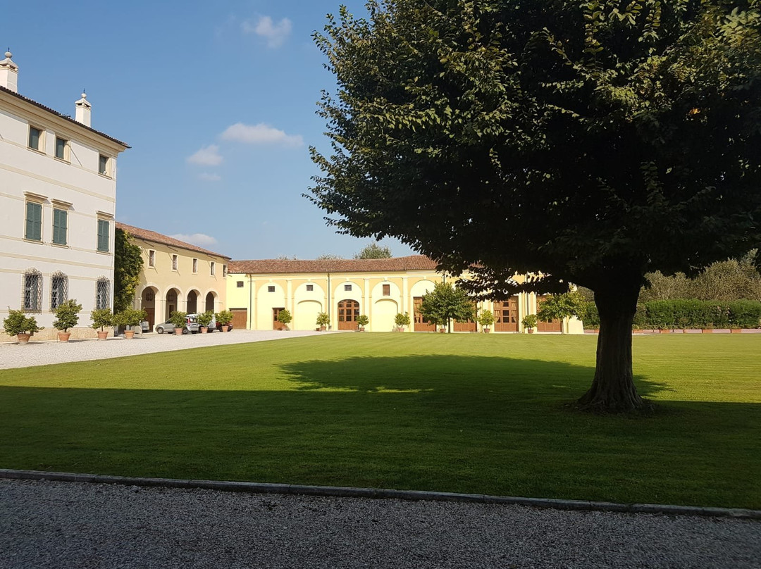 Villa Boschi景点图片