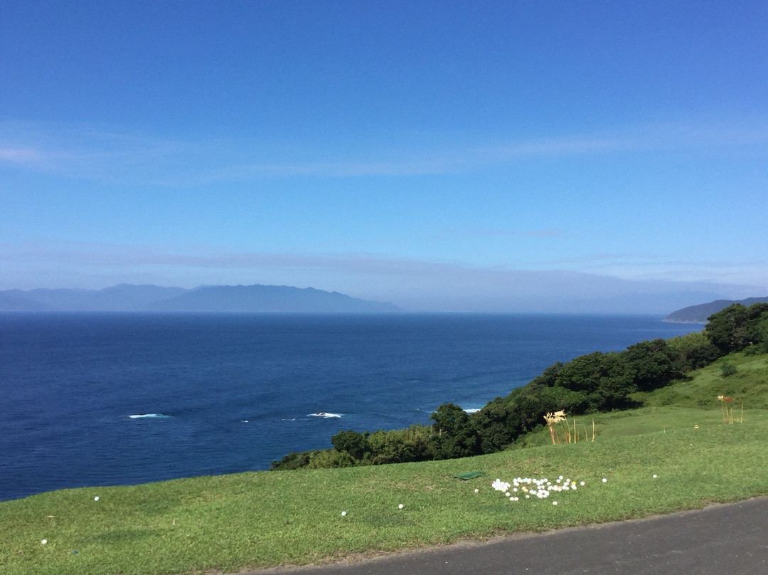 Toimisaki Ogonso主图