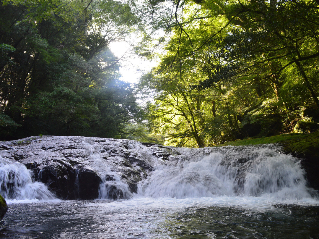Kikuchi Gorge景点图片