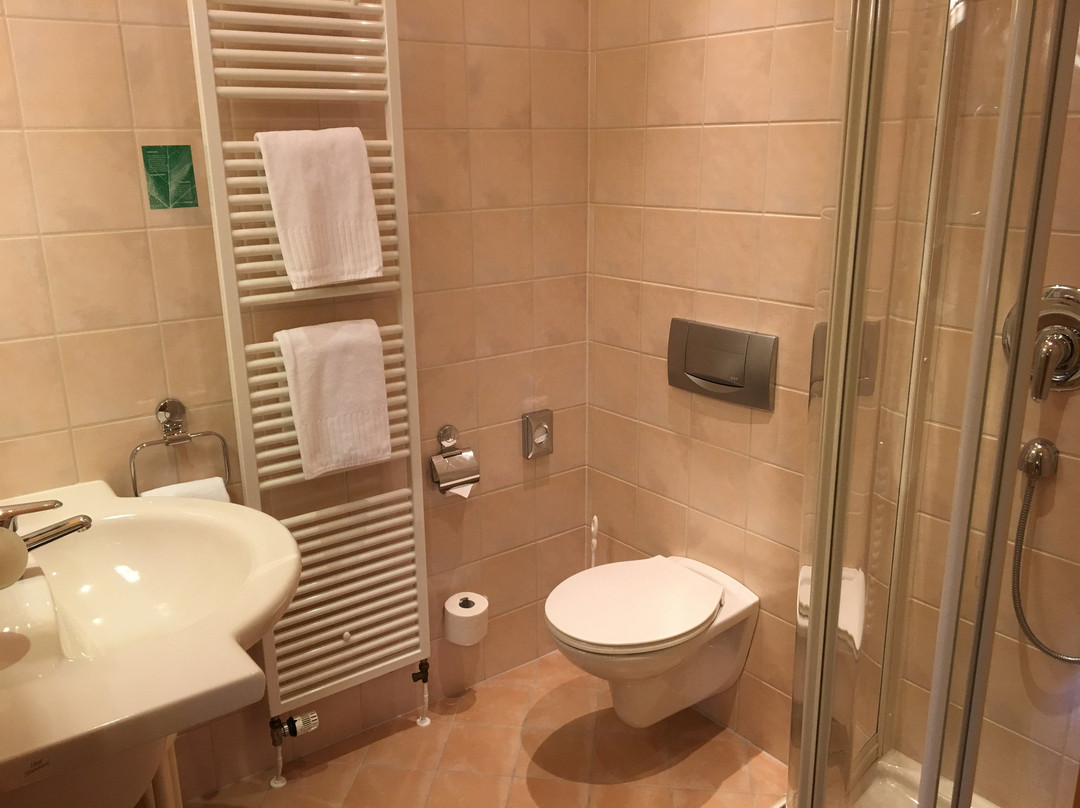 Harzhotel Zum Prinzen主图