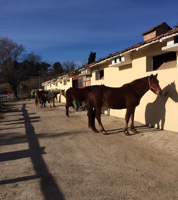 Scuderia del Lago-San Clemente必去景点
