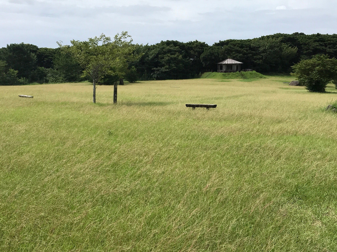 Tojindaiba Ruins-土佐清水市必去景点