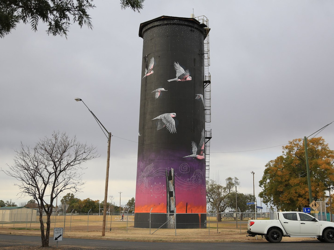Coonamble旅游景点-Coonamble Water Tower
