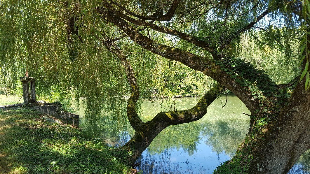 Logis Des Bessons主图