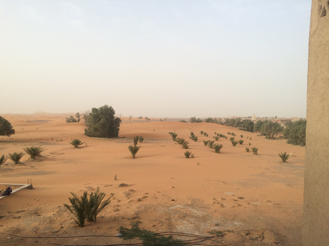 Auberge Kasbah La Rose De Sable主图