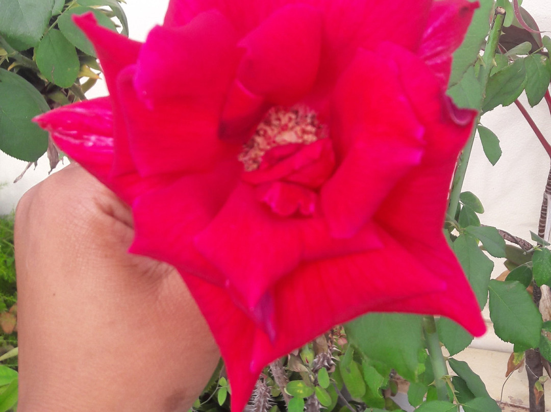 Southview Hotel主图