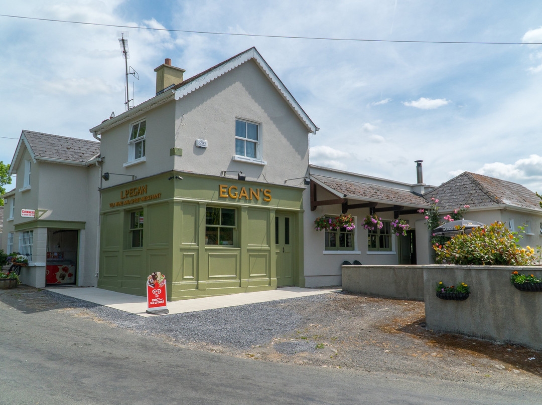 Egans Bar Parkbridge-Wicklow必去景点