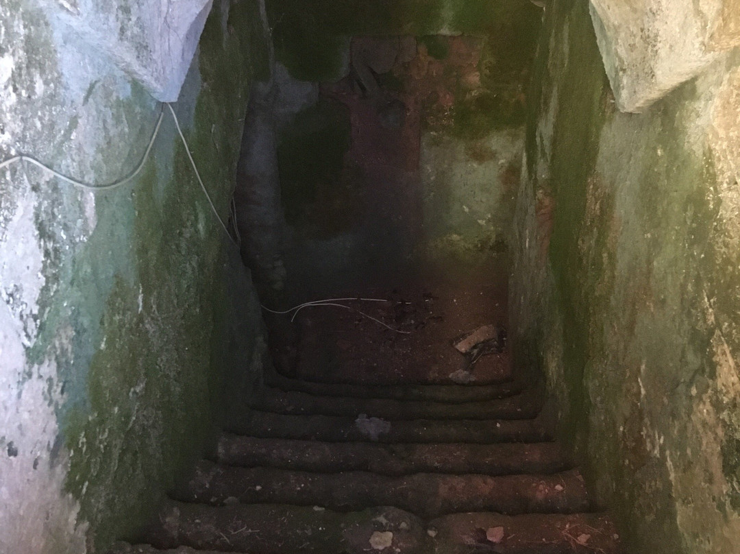 Masseria Ottava Grande景点图片