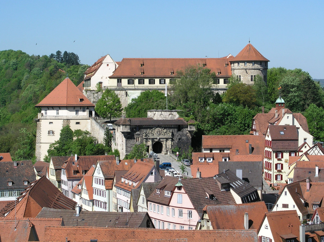 Museum Schloss Hohentuebingen (Museum Ancient Cultures)景点图片