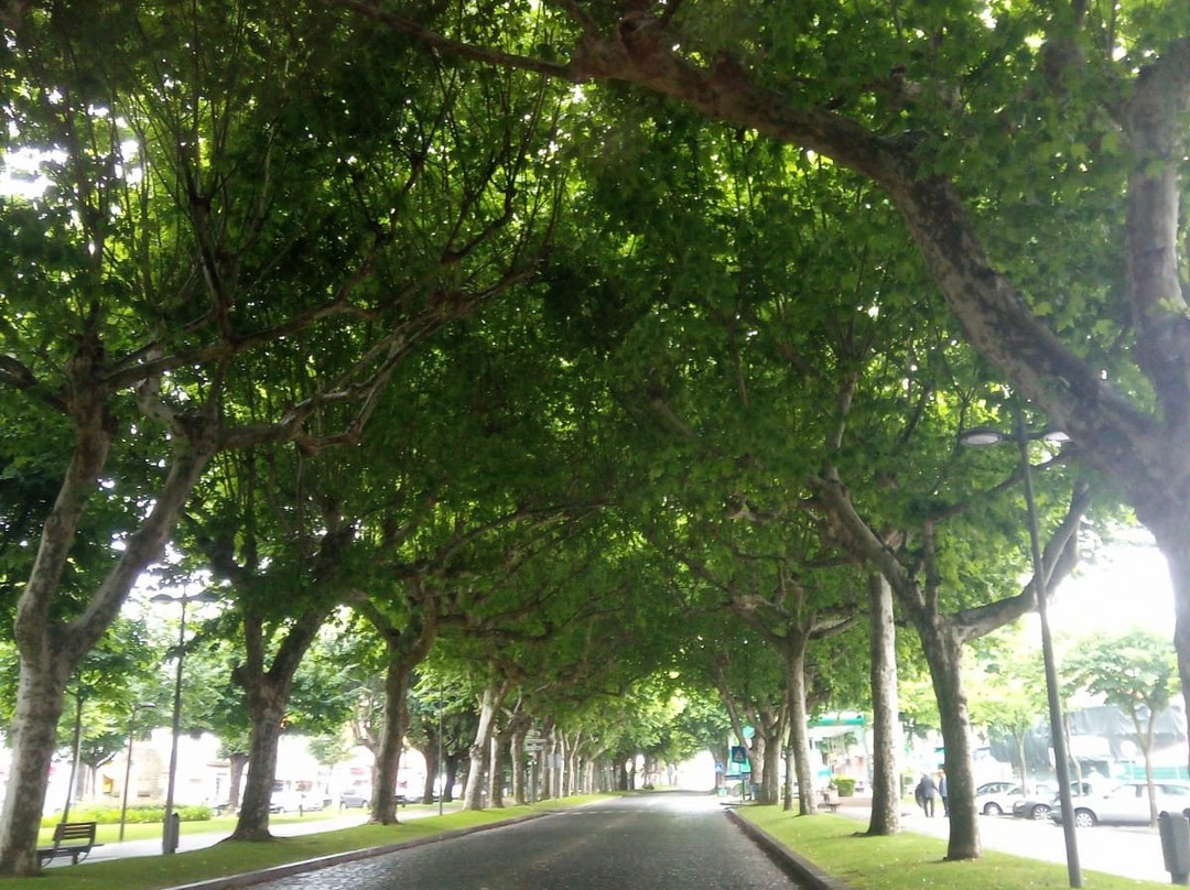 Vila Verde旅游攻略图片