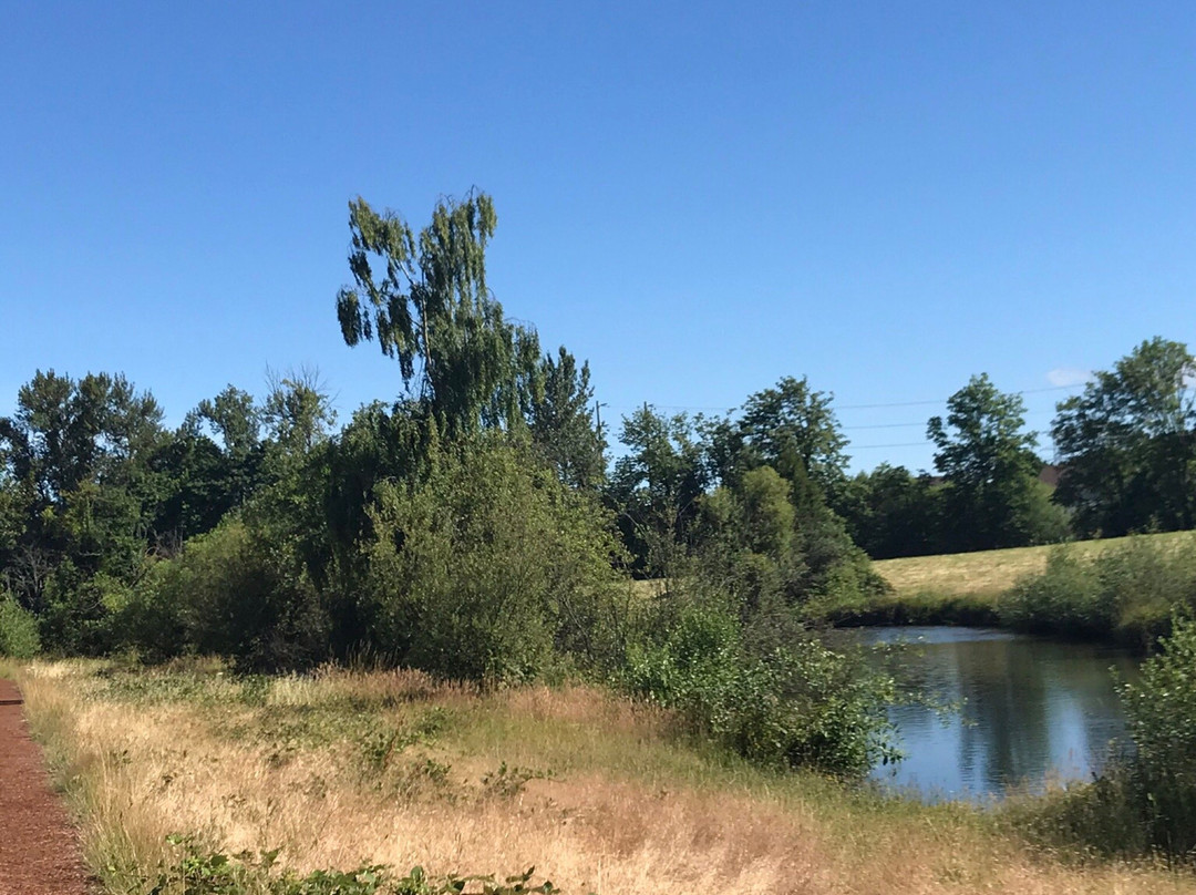 Pre's Trail-尤金必去景点