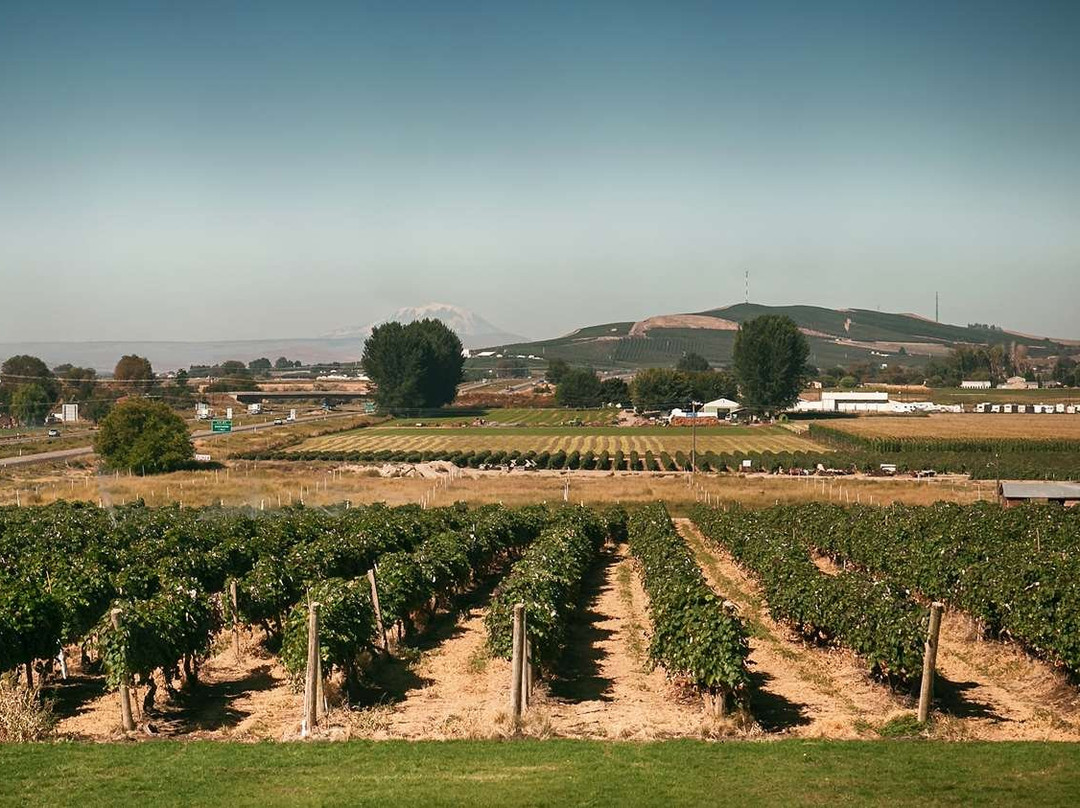 Best Western Plus Grapevine Inn主图