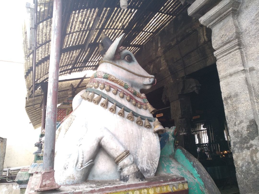 Sugavaneshwarar Temple景点图片
