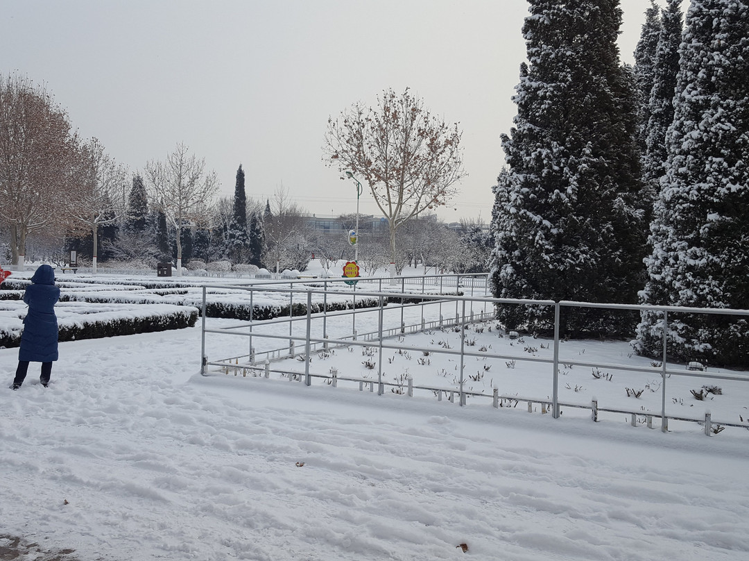 保定植物园-保定市必去景点