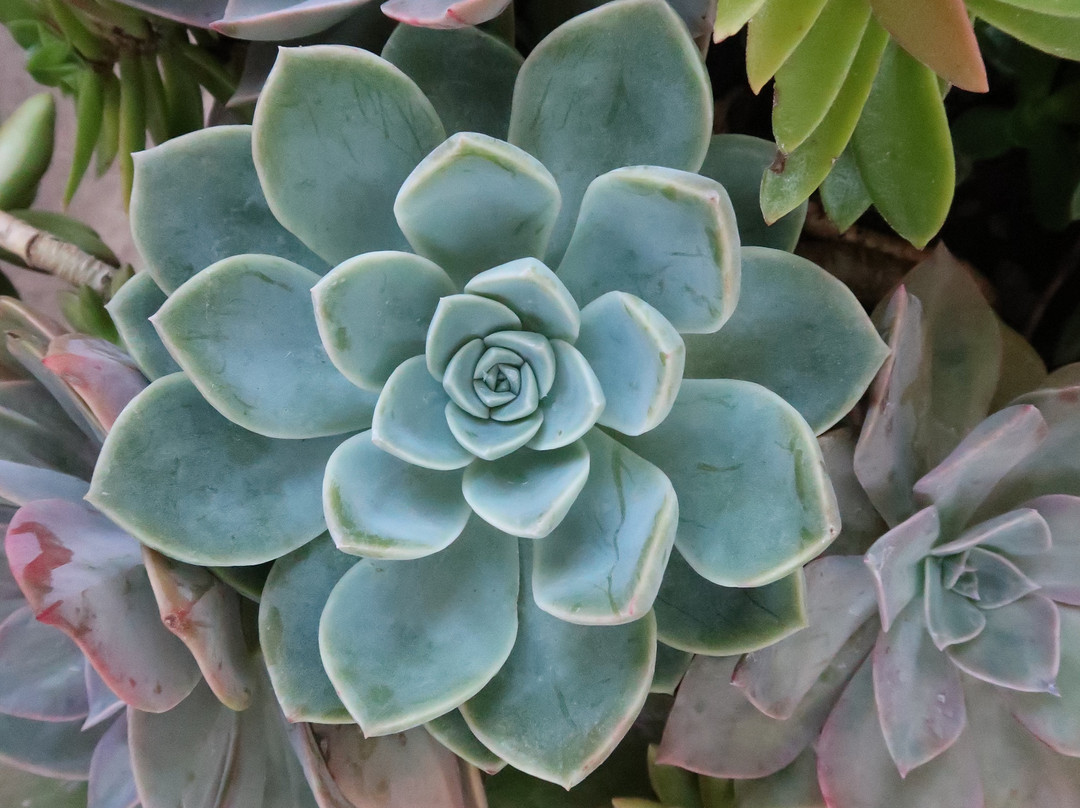 Durnsford's Lodge主图