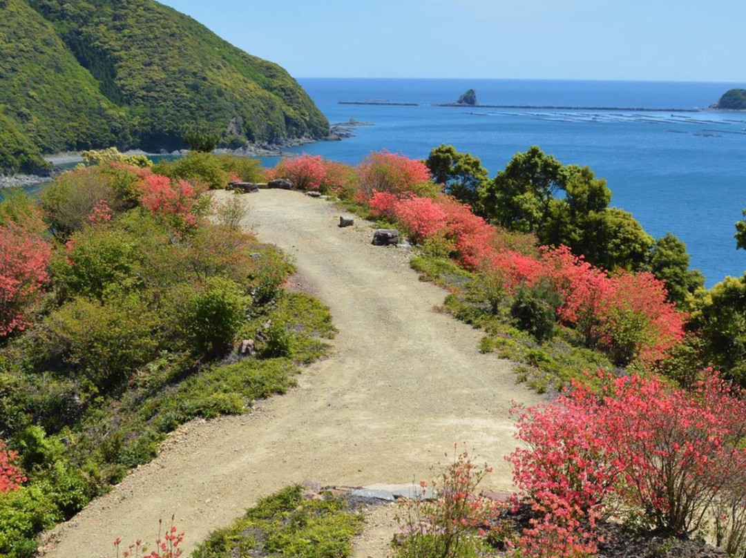 Mt. Akaishi-佐伯市必去景点