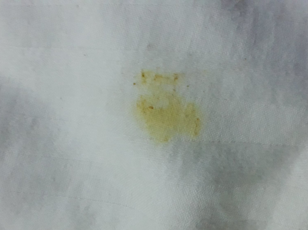 Avexia Comfort Namaskar Heights主图