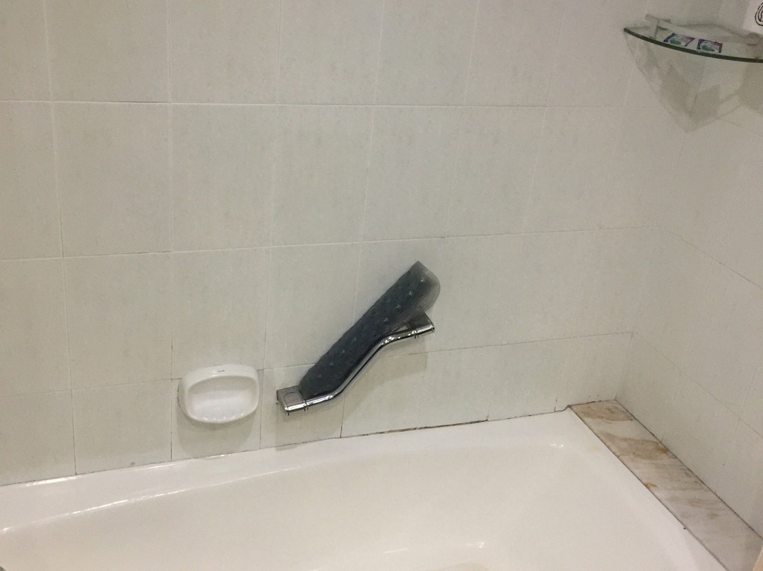 沪川大酒店主图