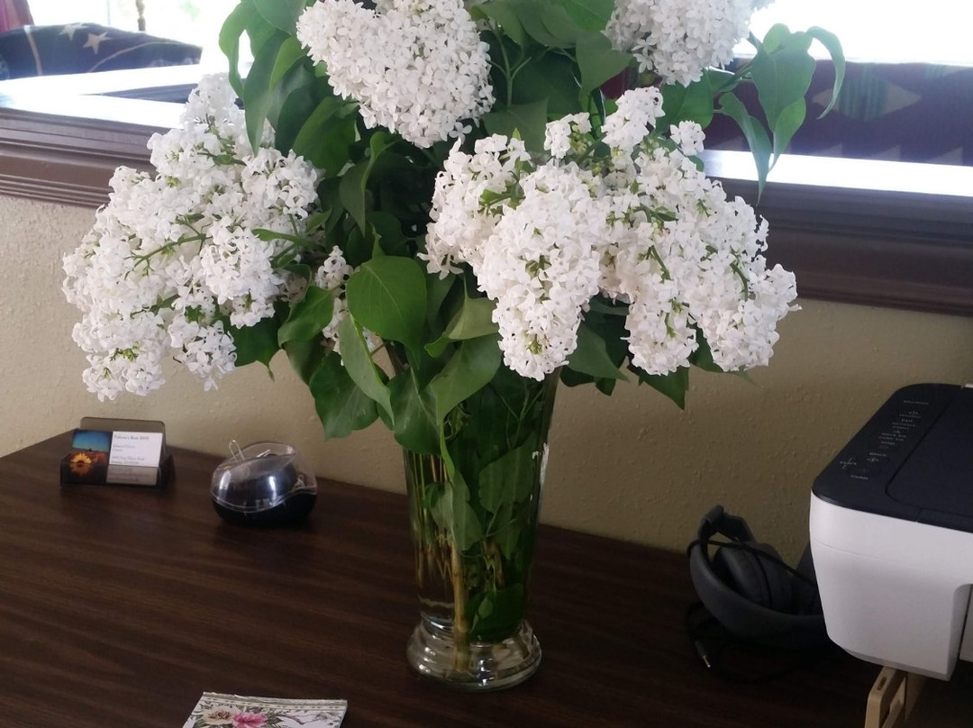 Falcon's Rest Bed and Breakfast主图