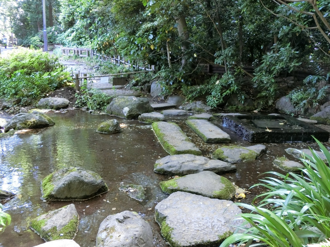 Ochanomizu Pond-三鹰市必去景点