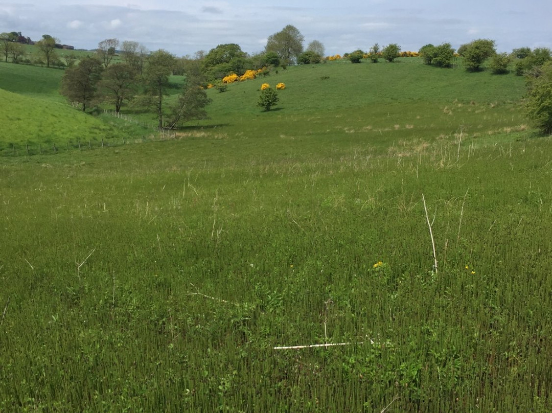 Fleecefaulds Meadow-Ceres必去景点