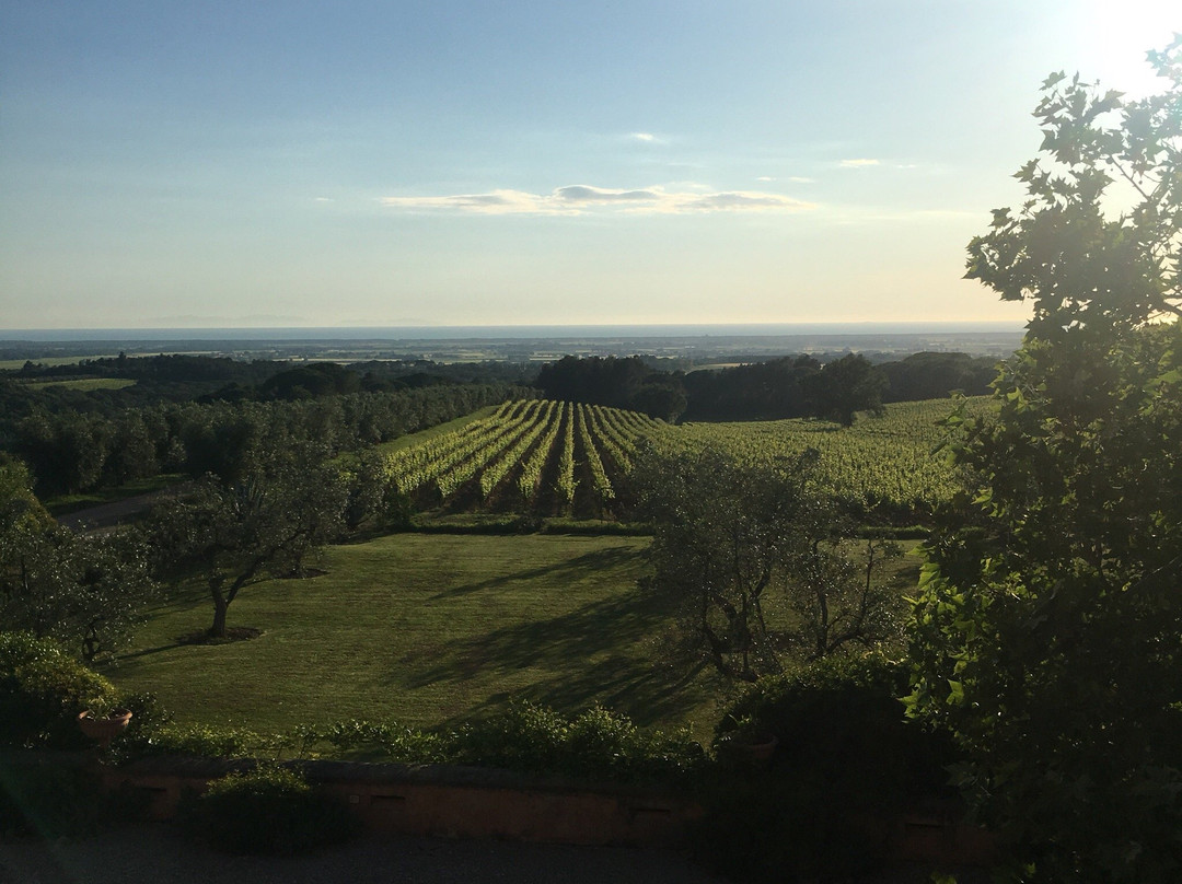 Podere Biserno主图