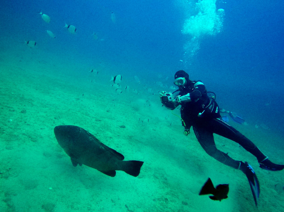 Mediterranean View Diving Center景点图片