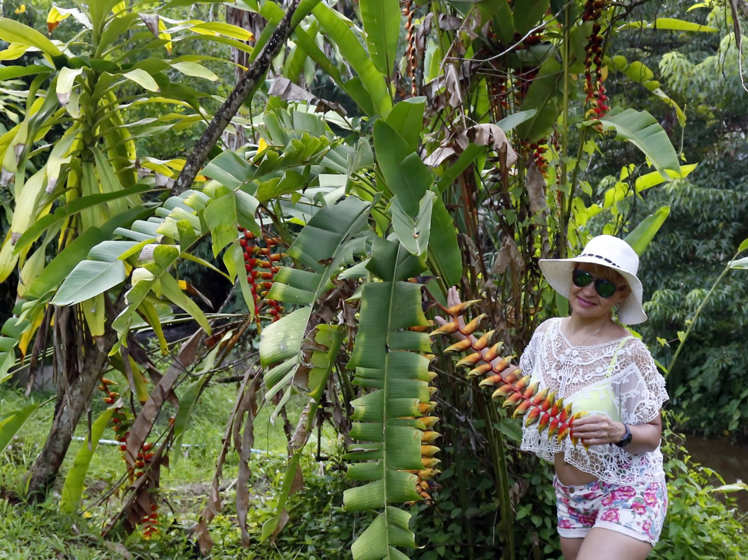 索克雨林度假村主图