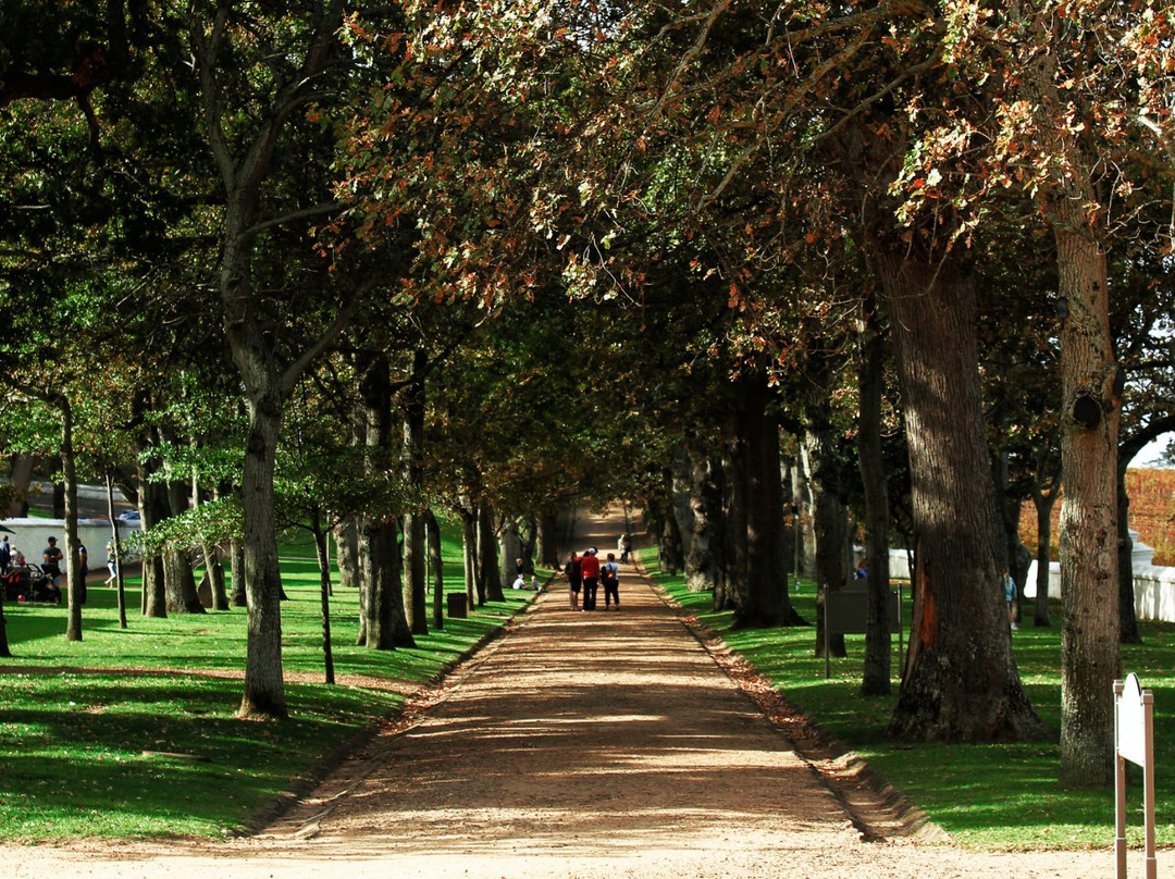 SadiCapeTours-开普敦中心区必去景点