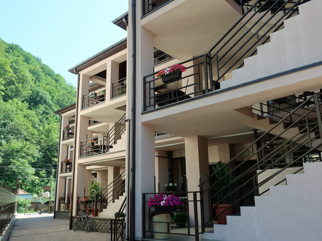 Guest House Shokolad主图