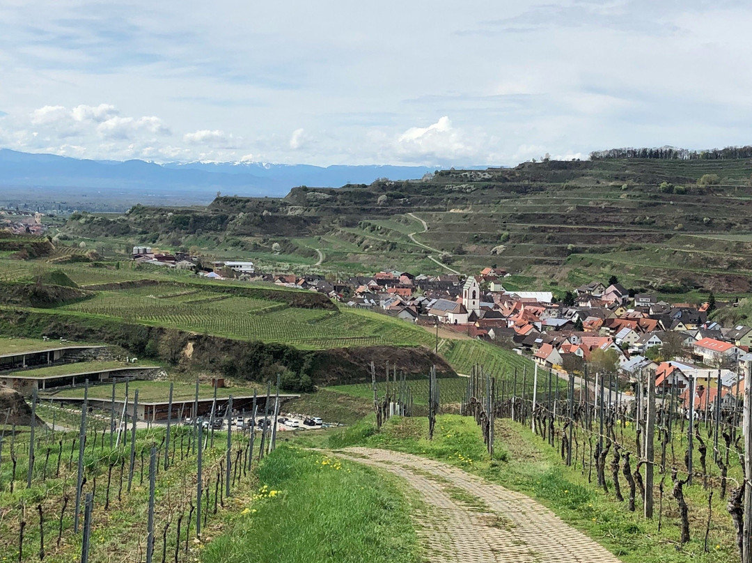 Vogtsburg im Kaiserstuhl旅游攻略图片