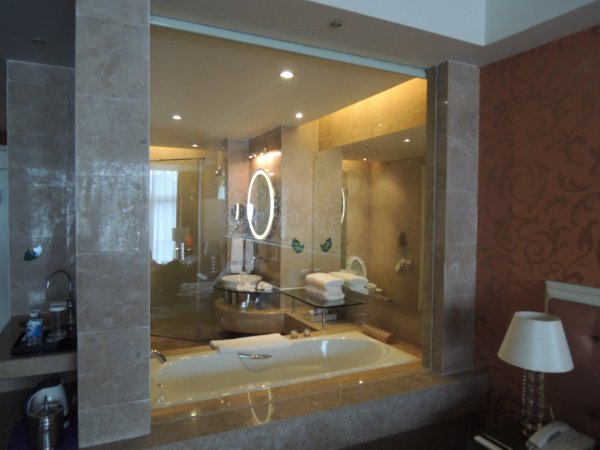深圳求水山居酒店-浴室