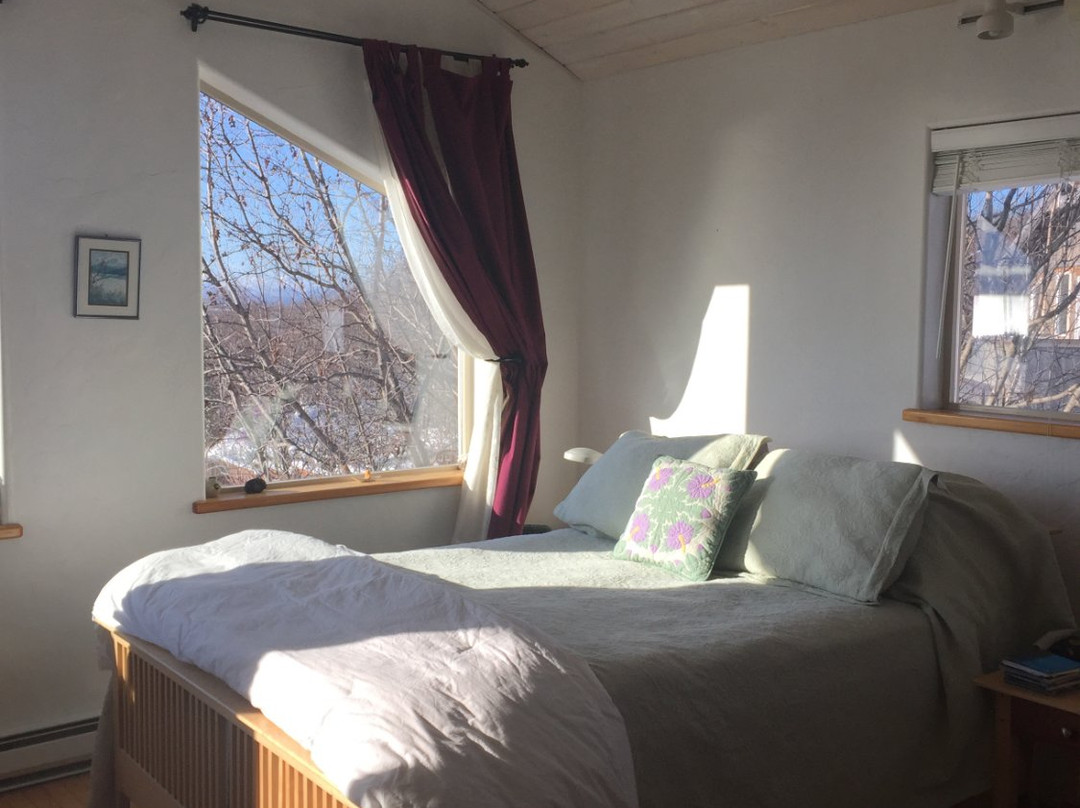 A Stellar View主图