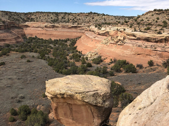 Rattlesnake Canyon-弗鲁塔必去景点