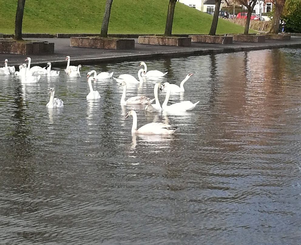 Waterworks-贝尔法斯特必去景点