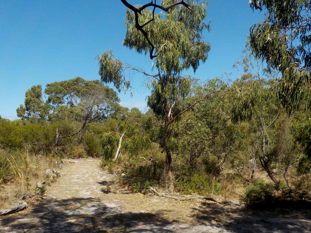 Highett旅游景点-Bay Road Heathland Sanctuary