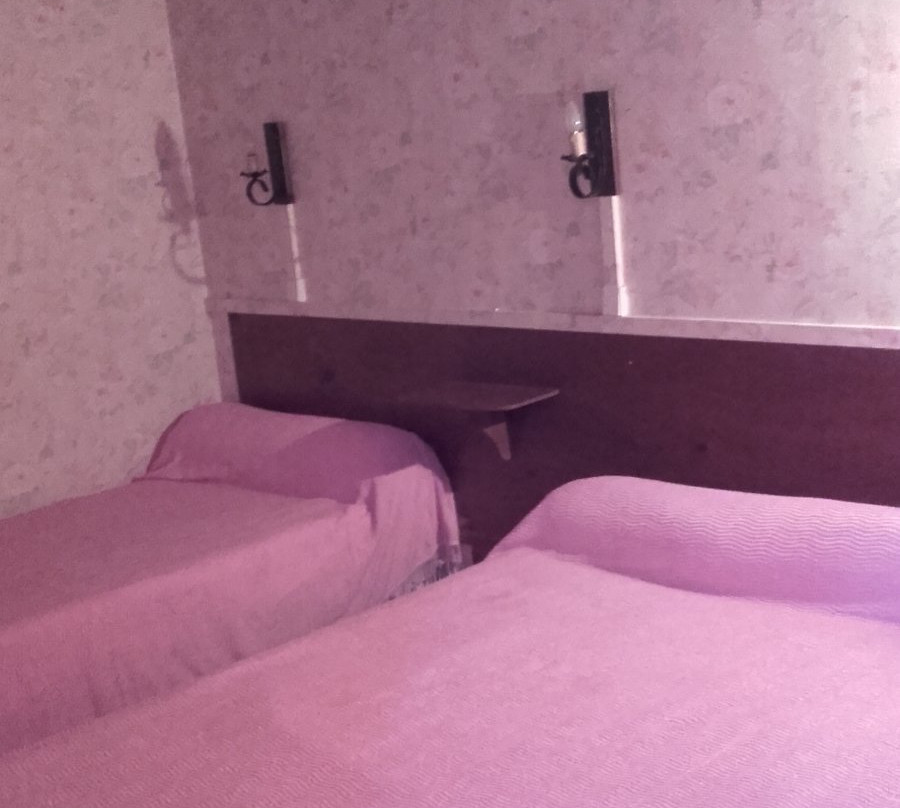 Hotel Les Sapins主图